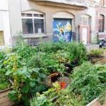 plantes paris