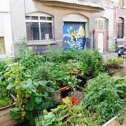 plantes paris