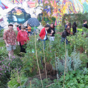 Jardin partagé urbain - Champigny en transition